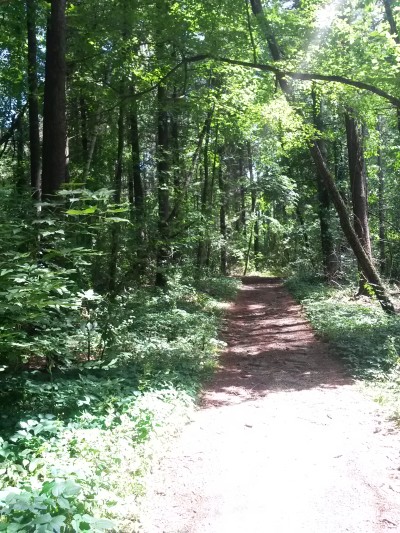 Health Coaching, Madison WI, in nature.