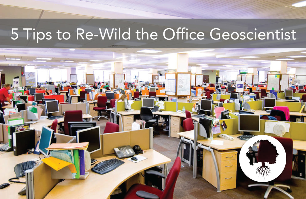 5 Tips to Re-Wild the Office Geoscientist | Meredith Rhodes Carson, PhD, HHC | Forward Health Coach